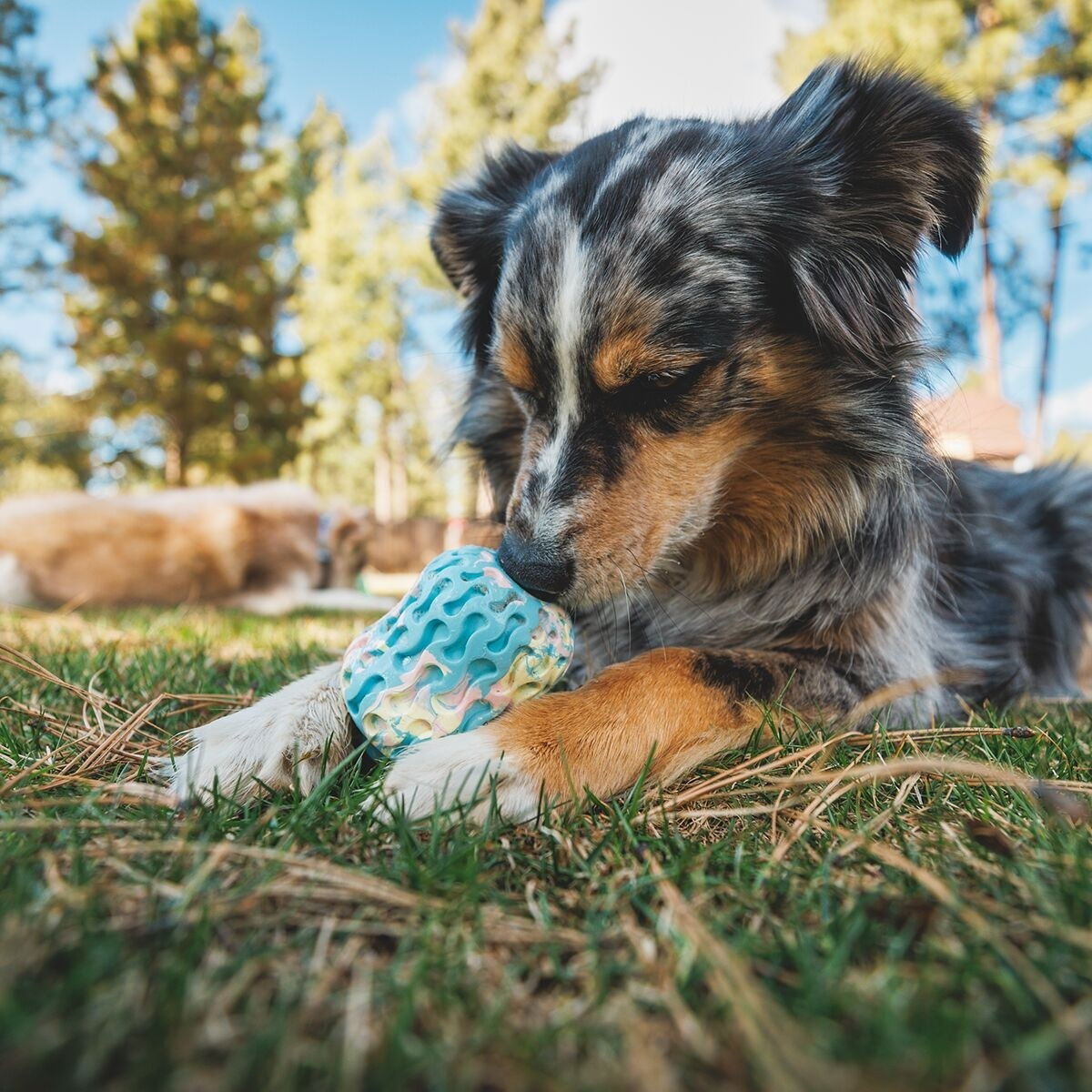 Ruffwear Morel™ 