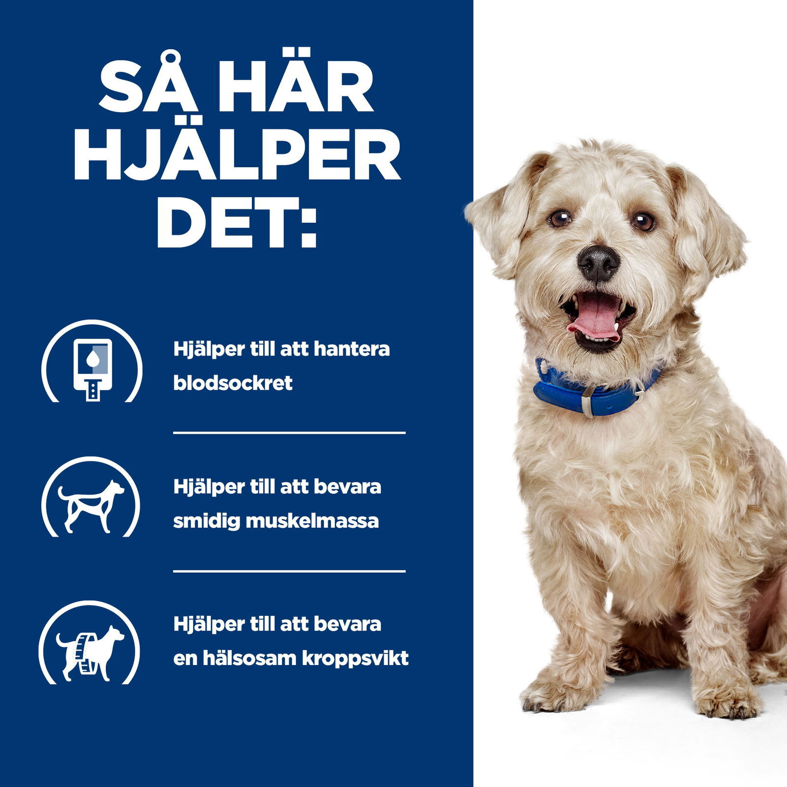 Hills Diet Dog w/d 4kg