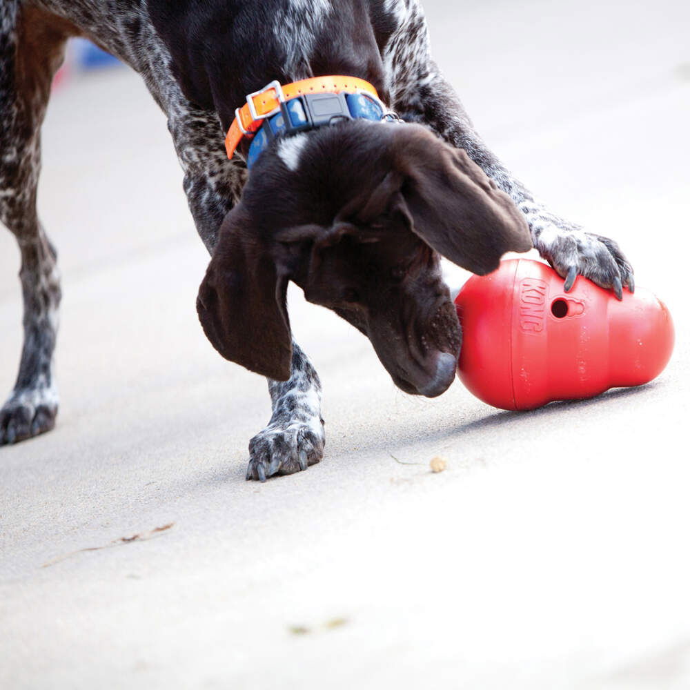 KONG Wobbler Activation Toy Red 