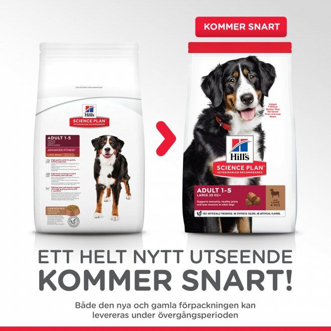 Hill's Science Plan Dog Adult Large Breed Lamb & Rice