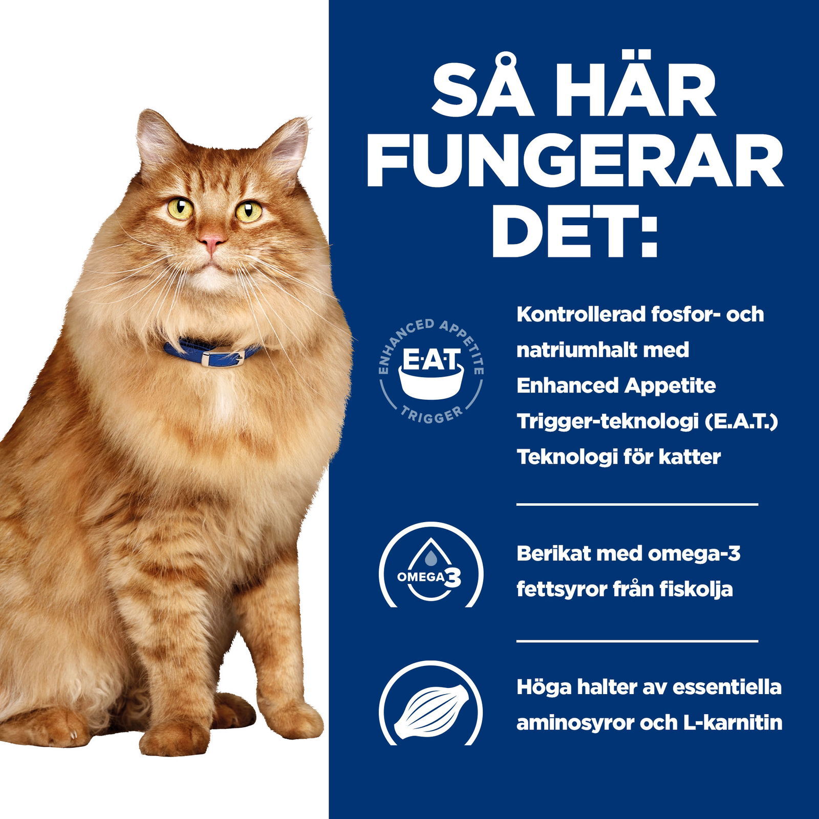 Hills Diet Cat k/d + Mobility