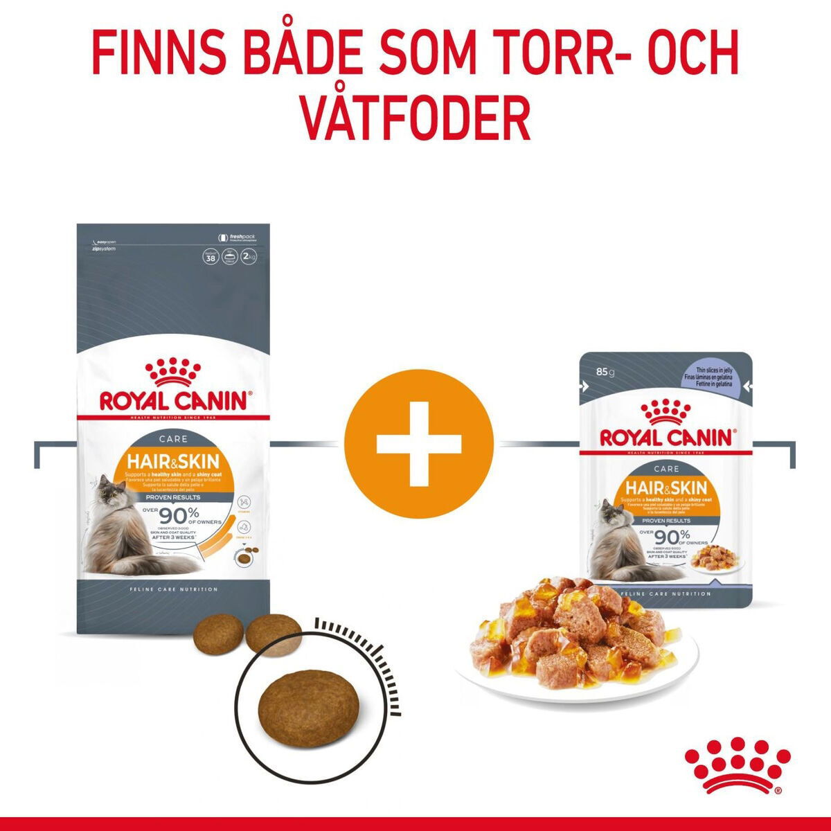 Royal Canin Hair & Skin Care Jelly Adult våtfoder för katt