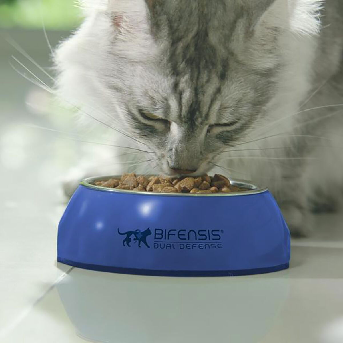 Purina ONE Sterilcat, Rik på Ox med Vete