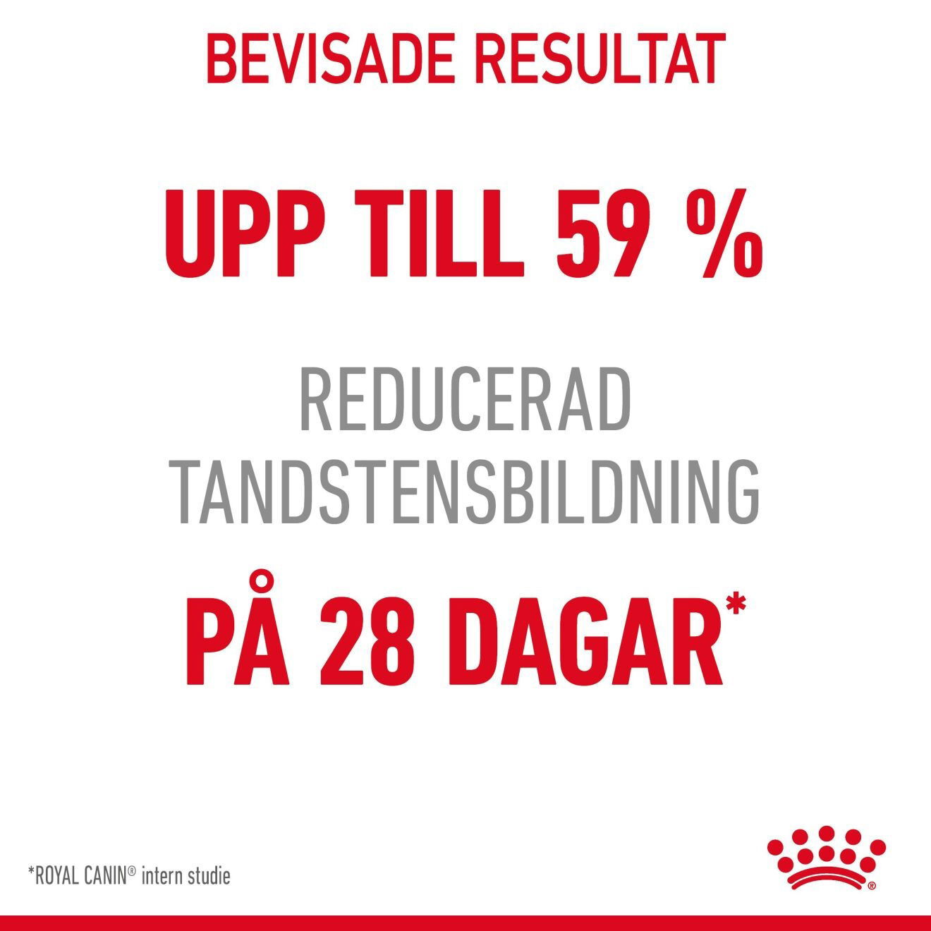 Royal Canin Dental Care Adult torrfoder för katt