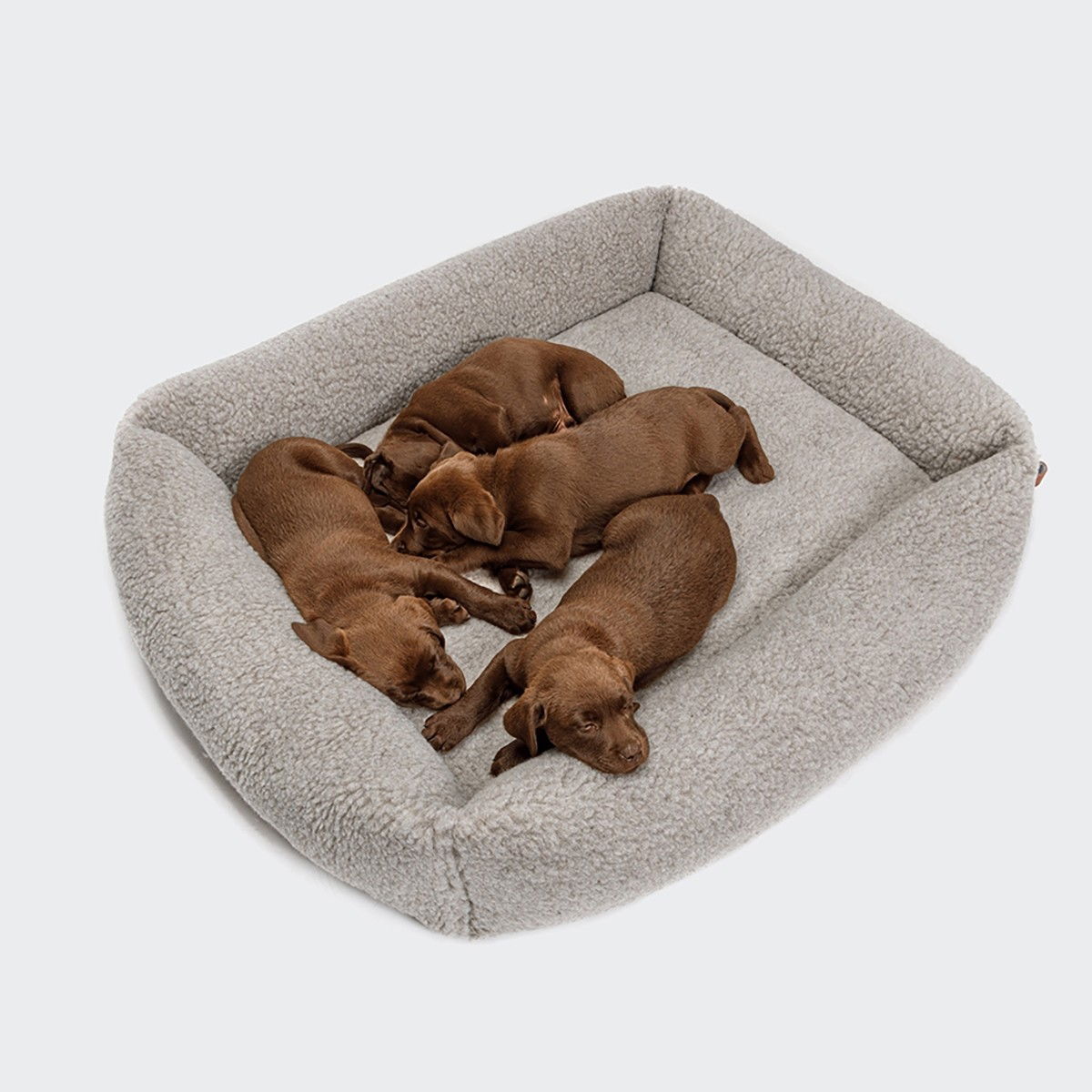 Cloud7 Hundbädd sleepy de luxe Teddy
