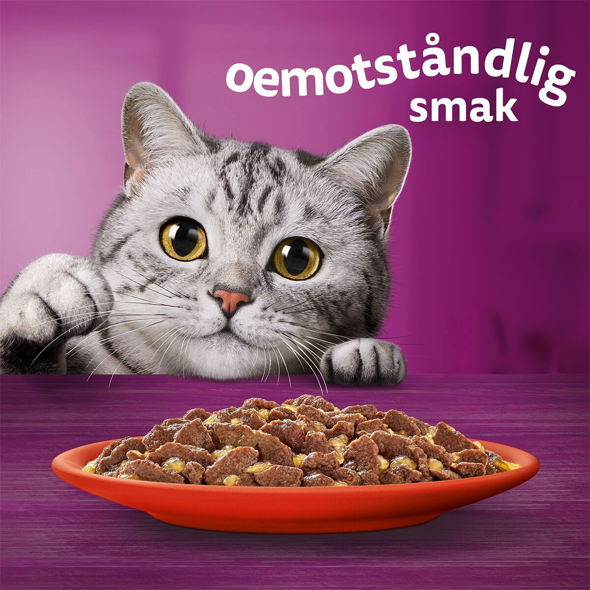 Whiskas 1+ jelly 60x85g