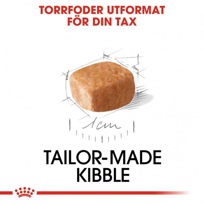Royal Canin Dachshund Puppy torrfoder för hundvalp