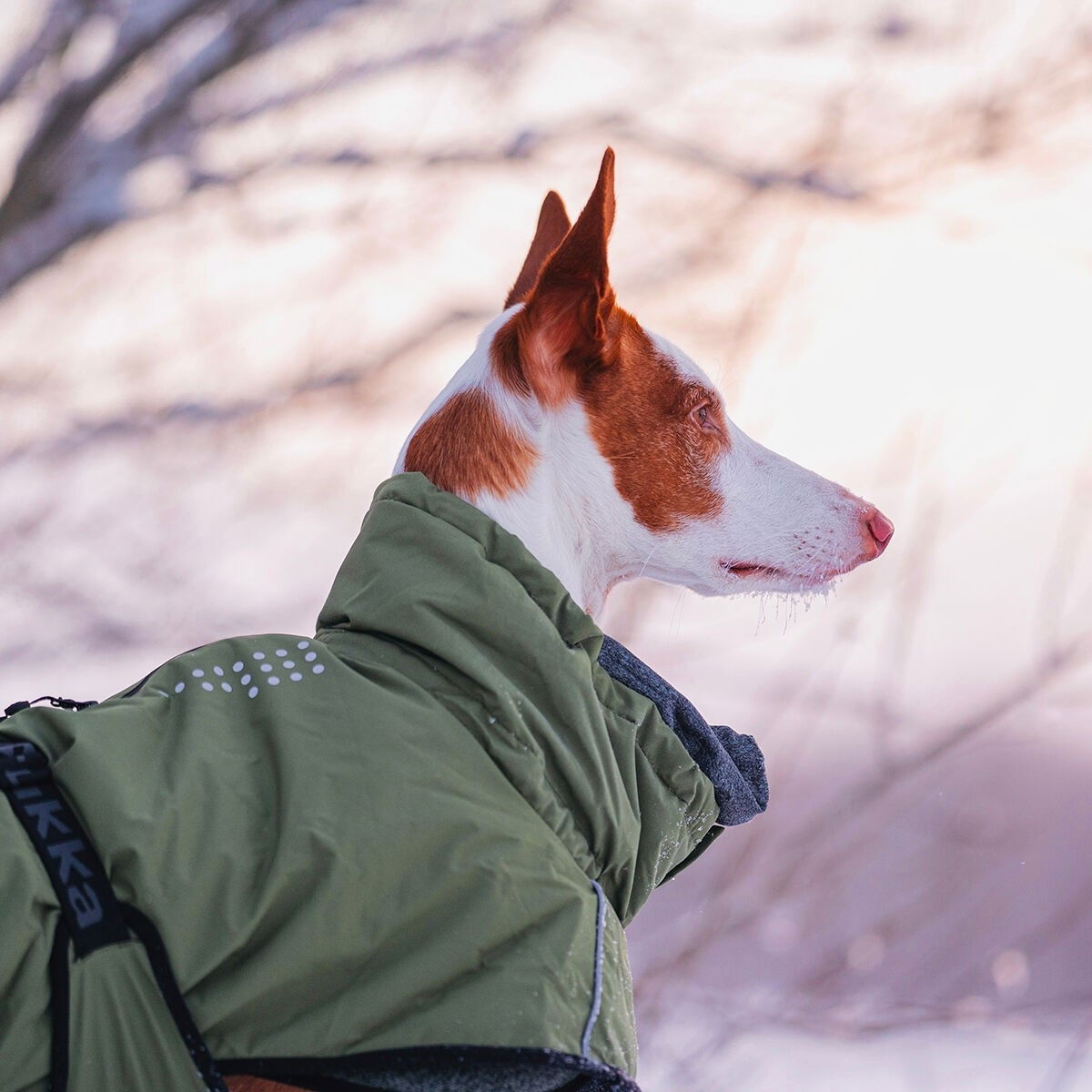 Rukka Warmup 2.0 coat olive