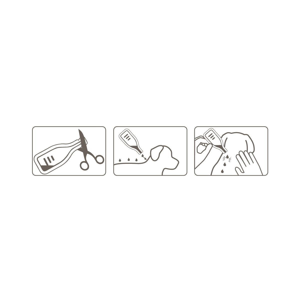 Dimethicare Line-on medium dog (6)