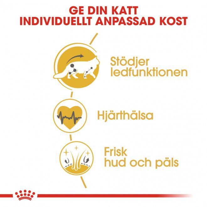 Royal Canin Maine Coon Adult torrfoder för katt