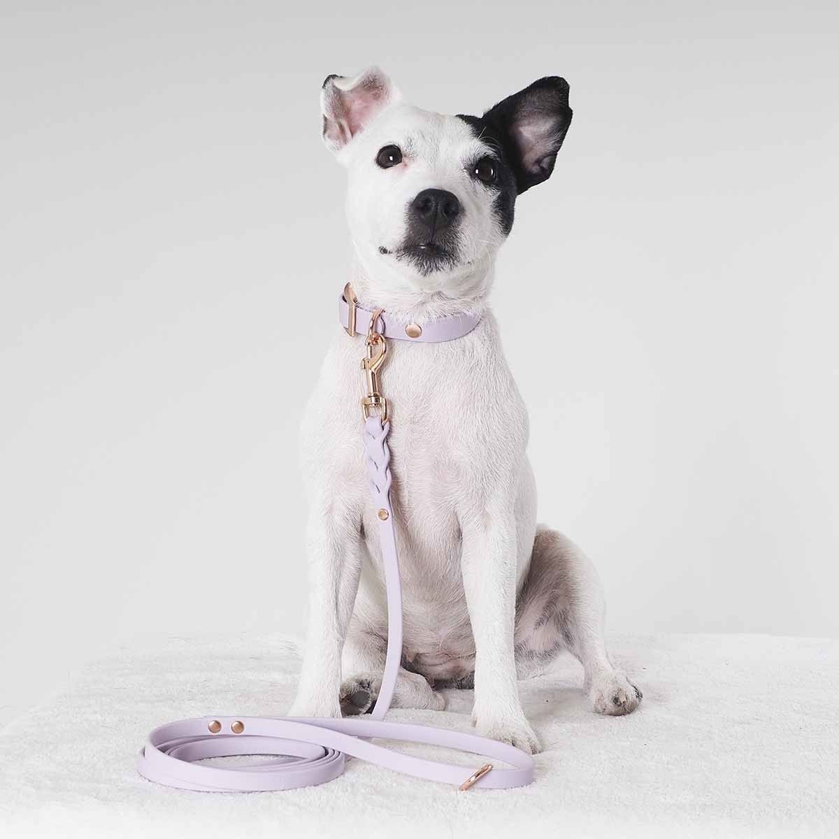 Tyylivoitto Classy narrow collar, lavender