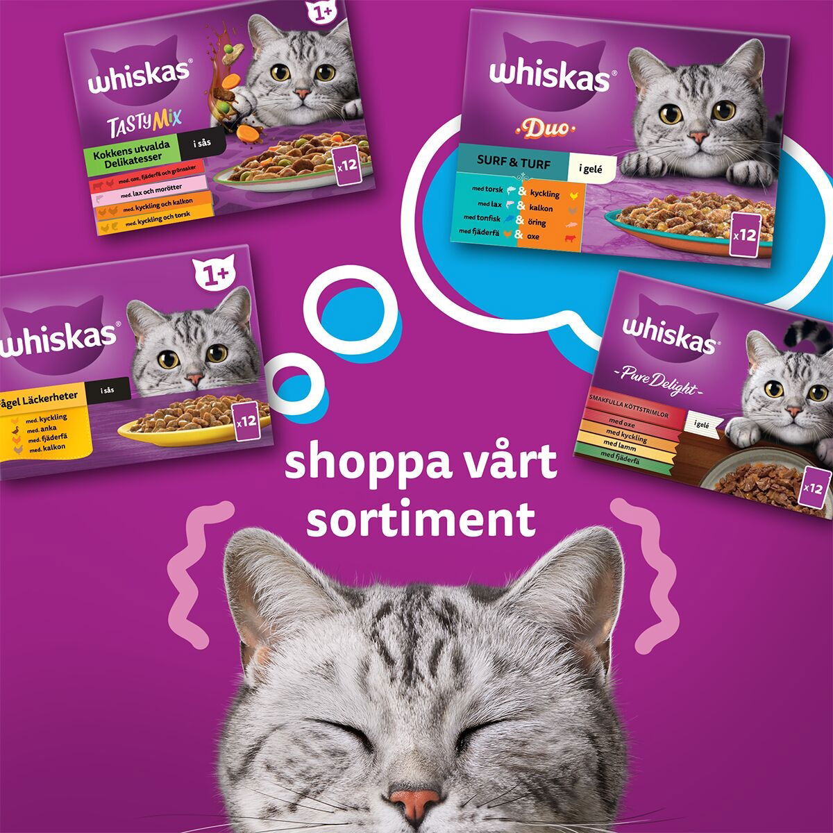 Whiskas 1+ gravy 40x85g