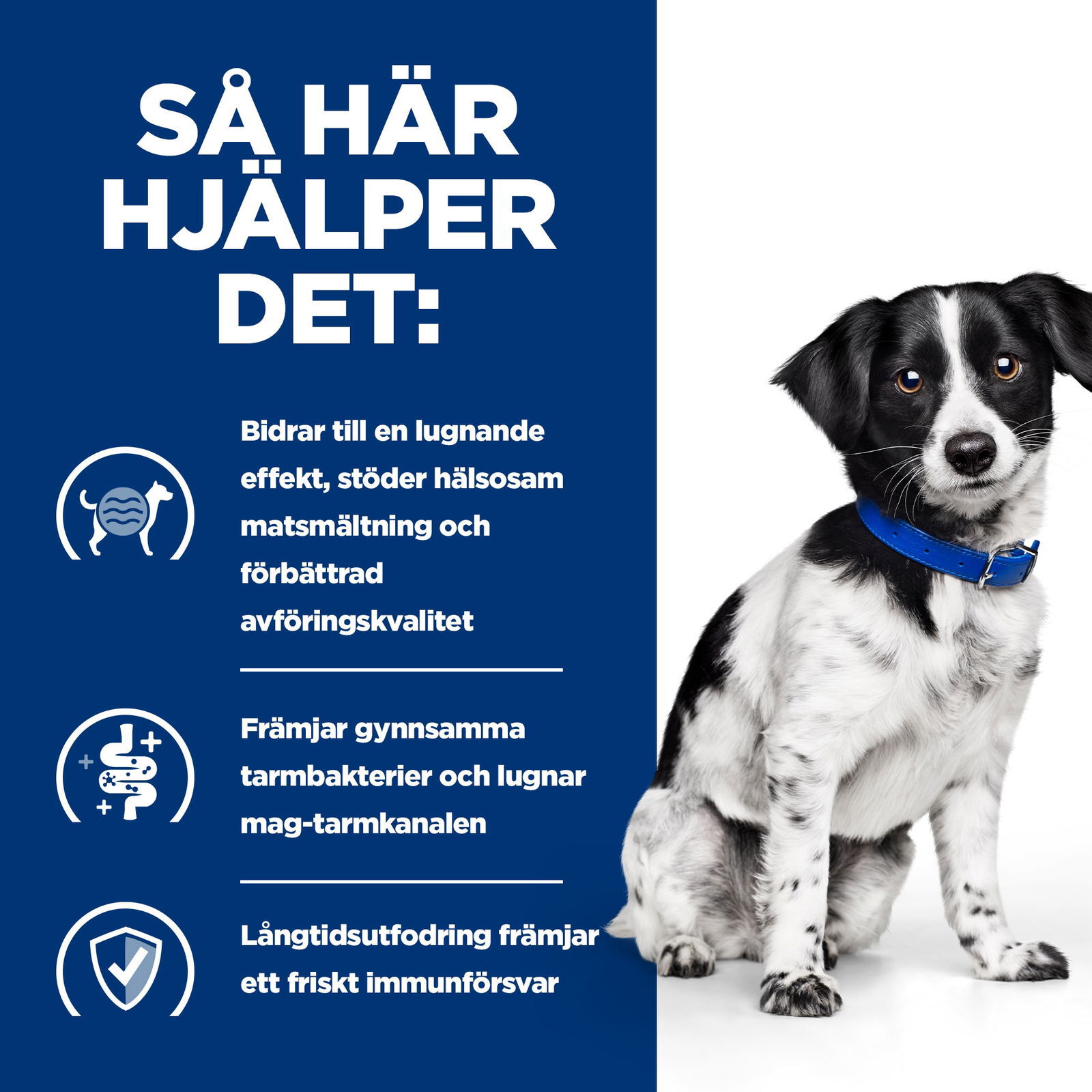 Hill's Diet Dog i/d Stress Mini Chicken