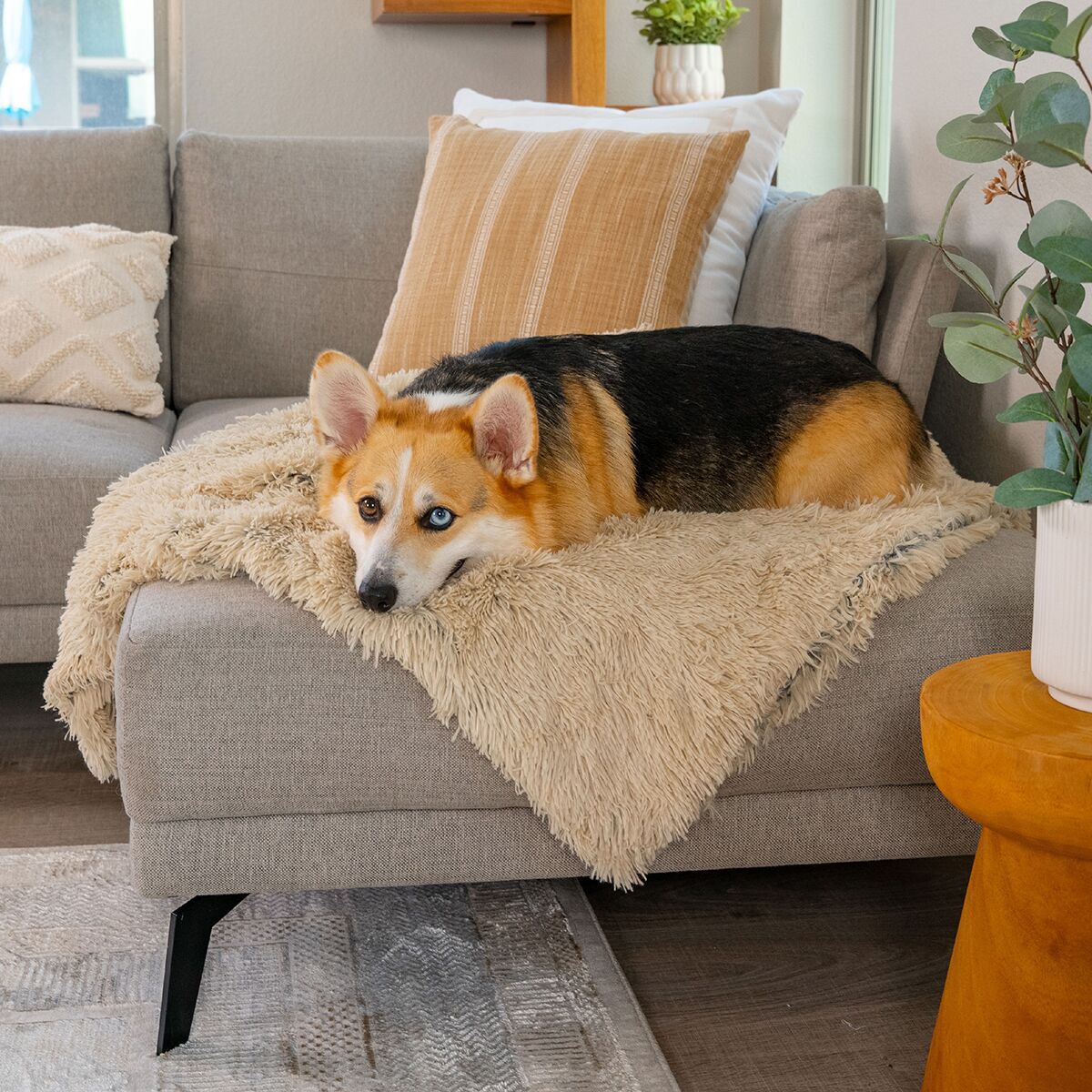 Best Friends by Sheri Fluffy blanket shag 75x100cm
