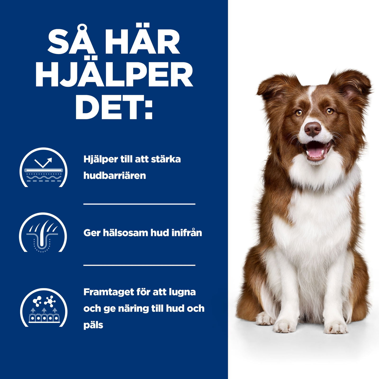Hills Diet Dog Derm Defense