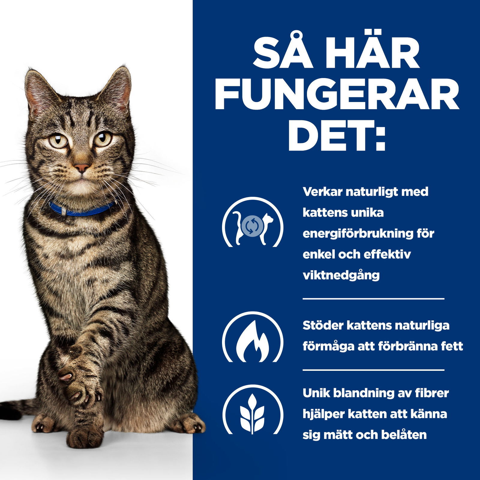 Hills Diet Cat Metabolic 1,5kg
