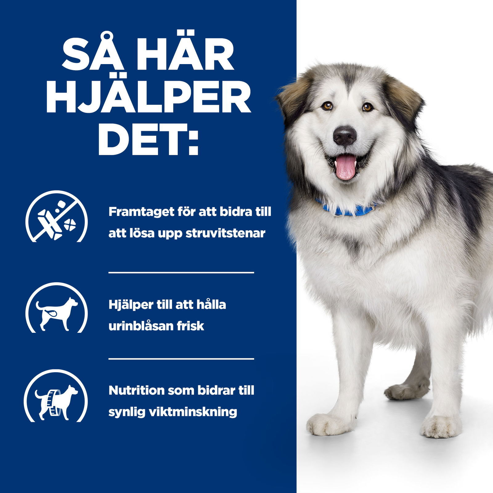 Hills Diet Dog Multicare + Metabolic