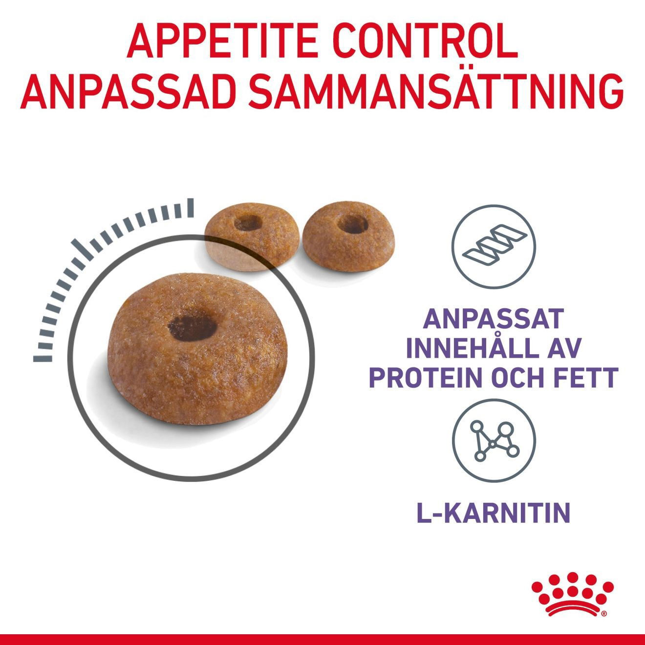 Royal Canin Appetite Control Care Adult torrfoder för katt