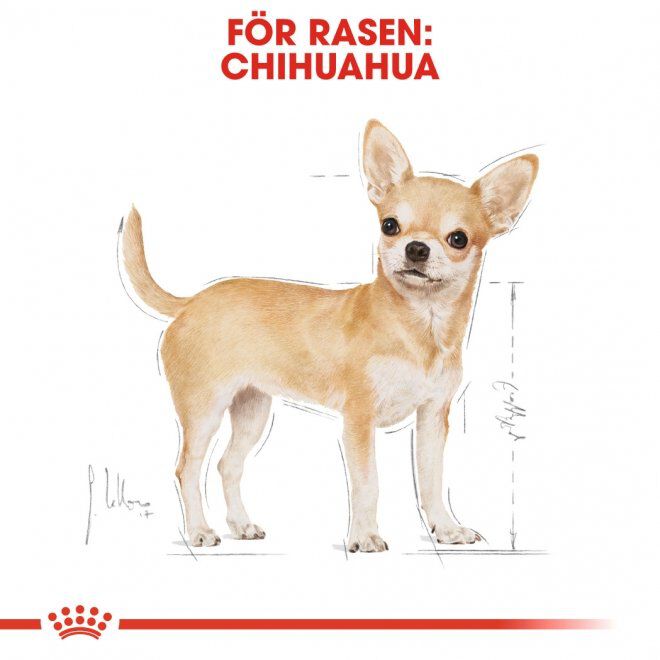 Royal Canin Chihuahua Adult Loaf våtfoder för hund