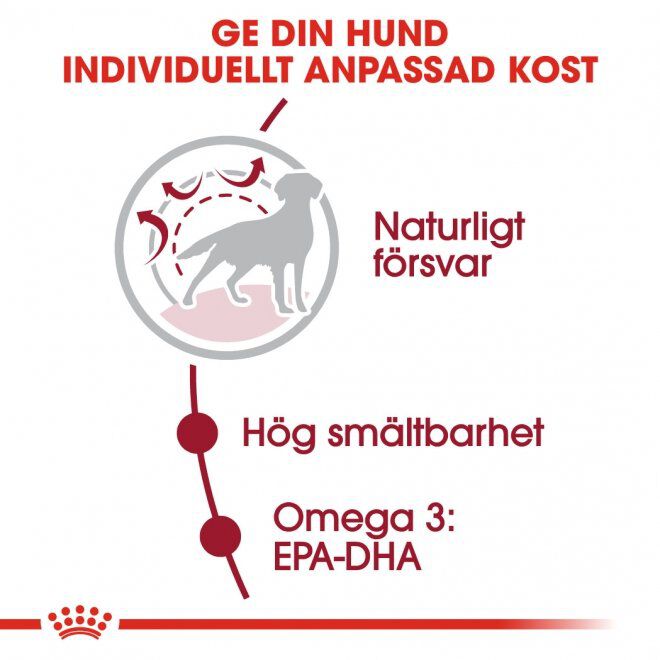 Royal Canin Medium Adult torrfoder för hund