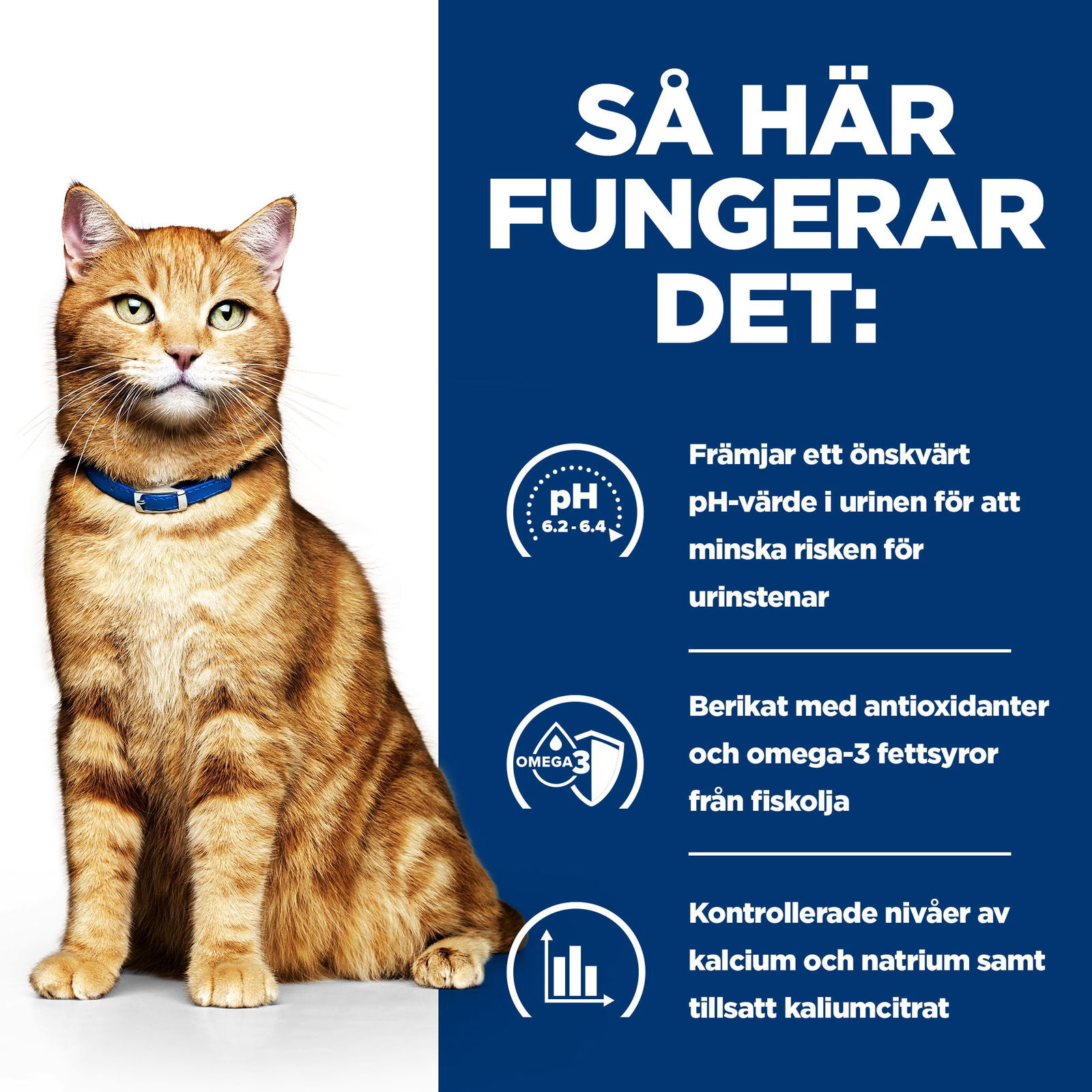 Hills Diet Cat c/d Multicare Chicken
