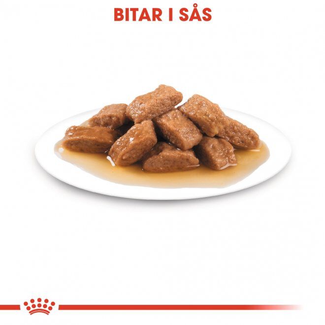 Royal Canin Medium Ageing Gravy våtfoder för hund