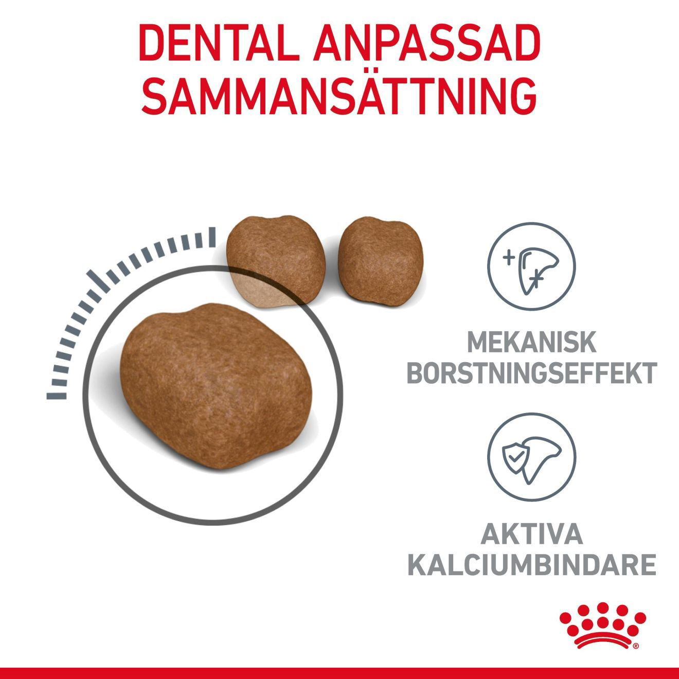 Royal Canin Dental Care Adult torrfoder för katt