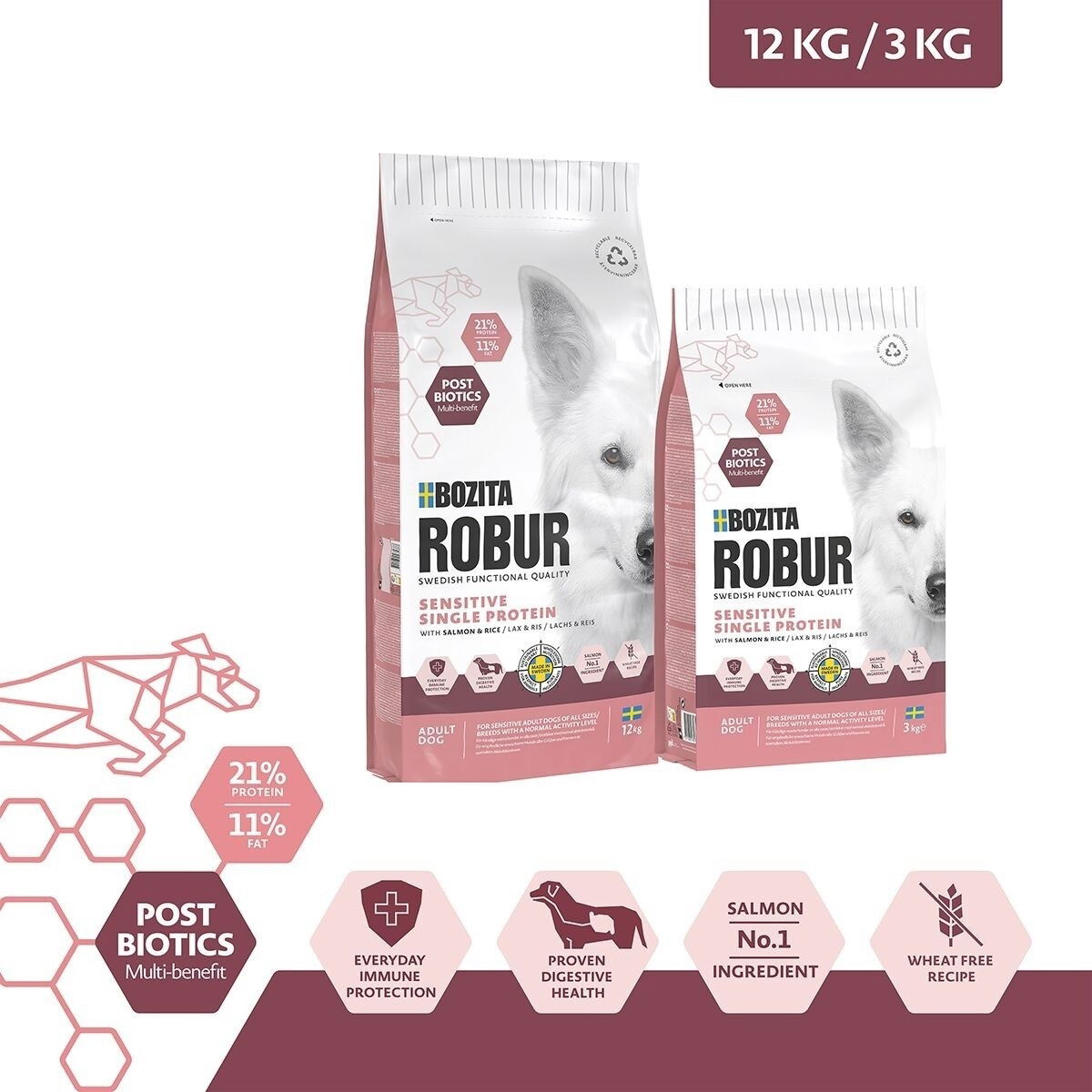 Robur Adult Sensitive Single Salmon