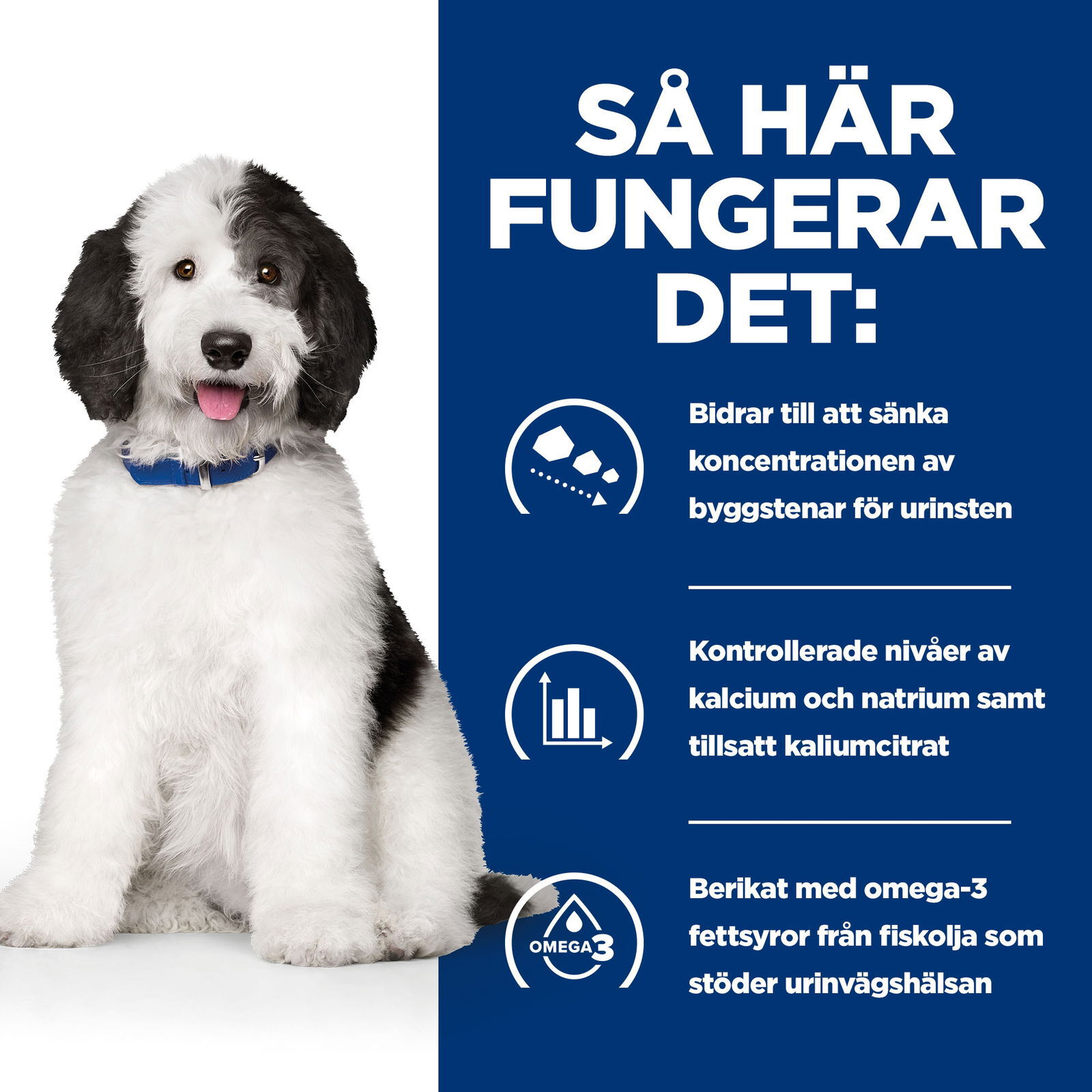 Hills Diet Dog c/d Multicare