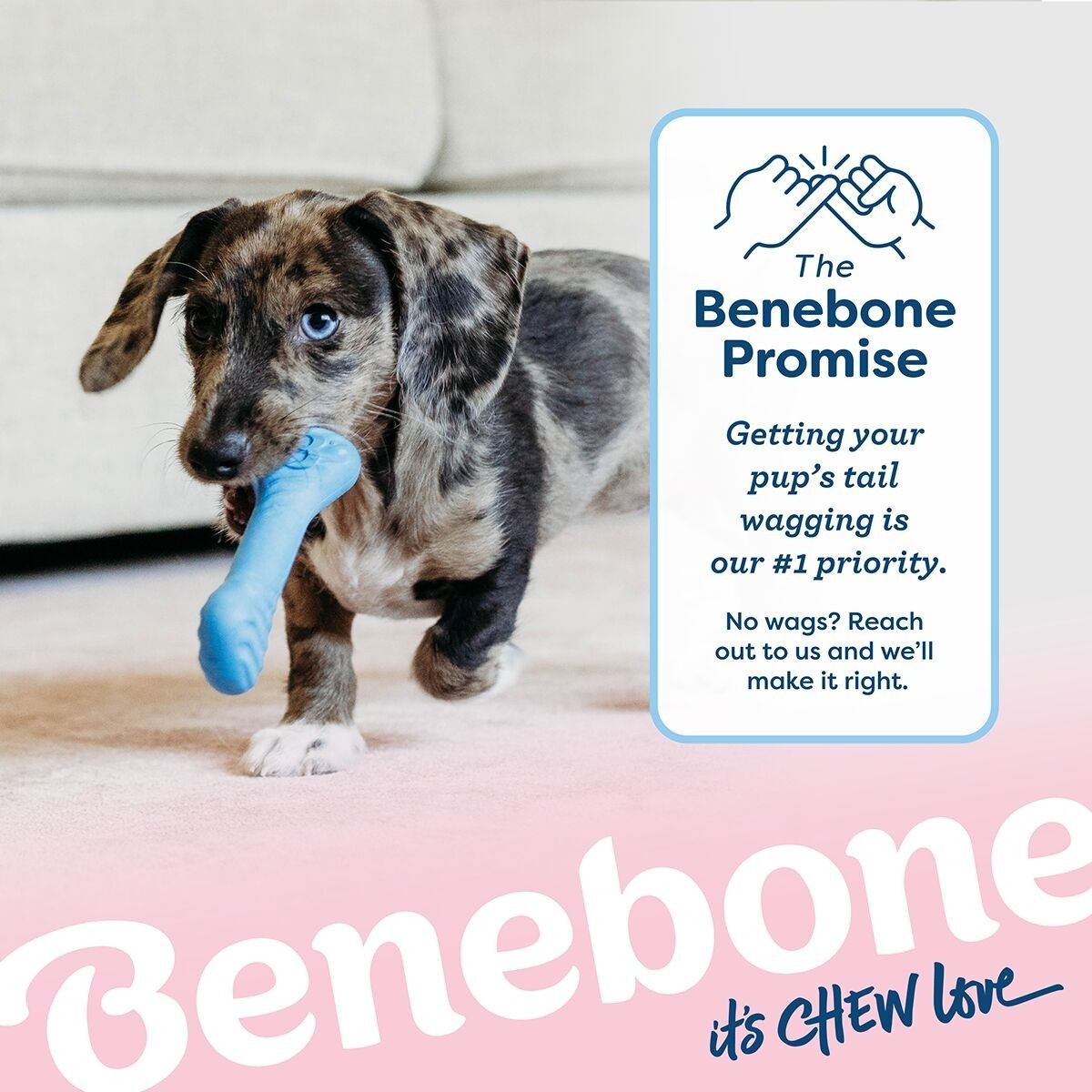 BB Puppy Rubber Bones Bacon Tiny 2pcs