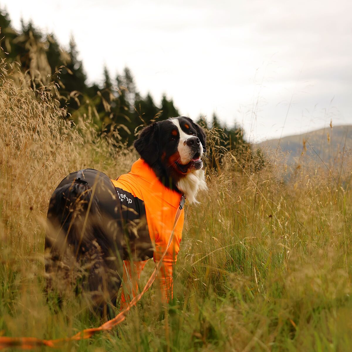 Non-stop dogwear Protector suit F orange/black