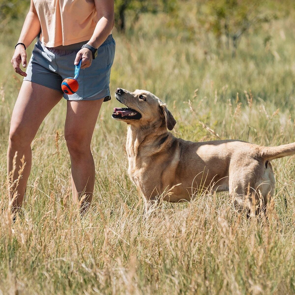 #Chuckit Ultra Tug