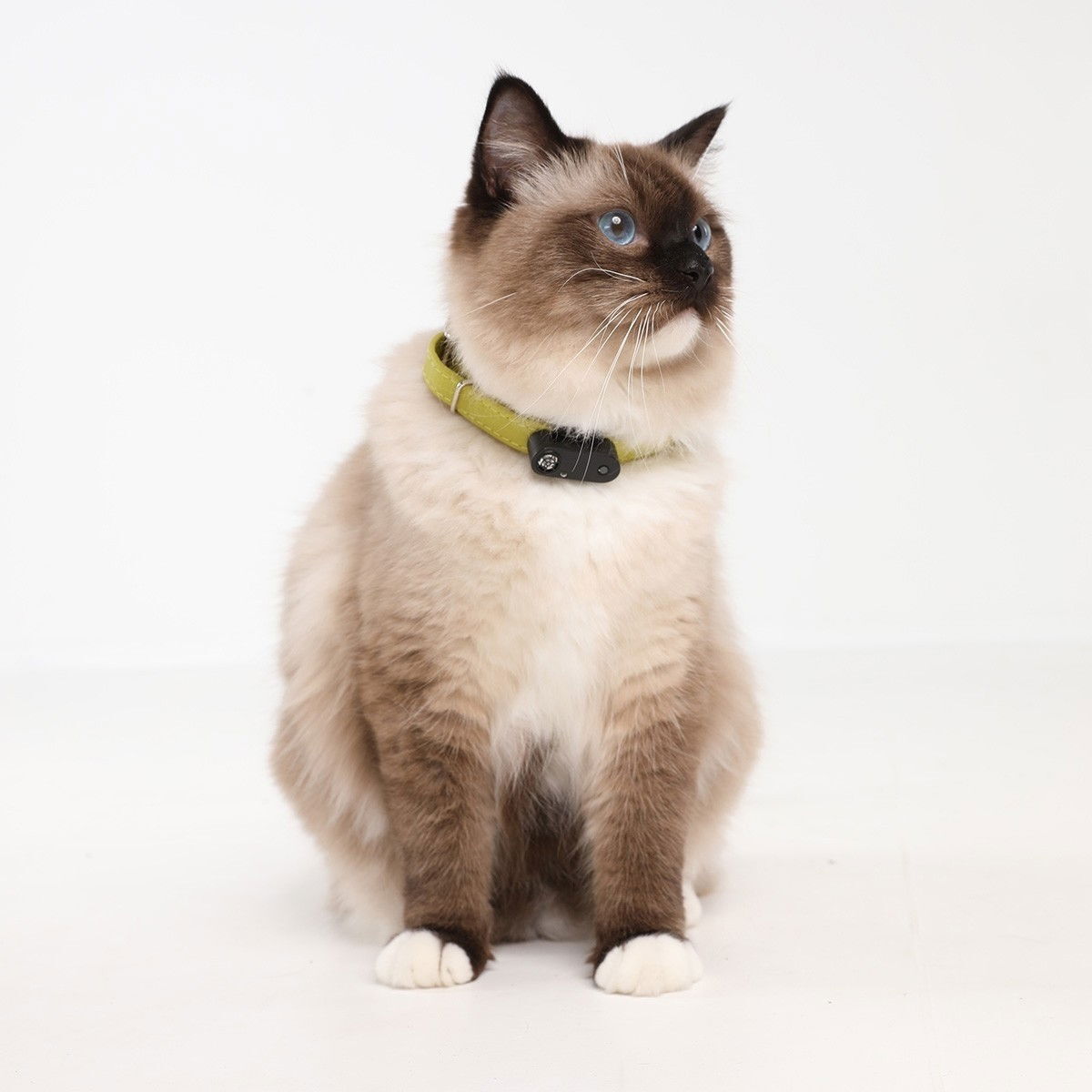 Tickless MINI CAT Electronic Tick Repellent black