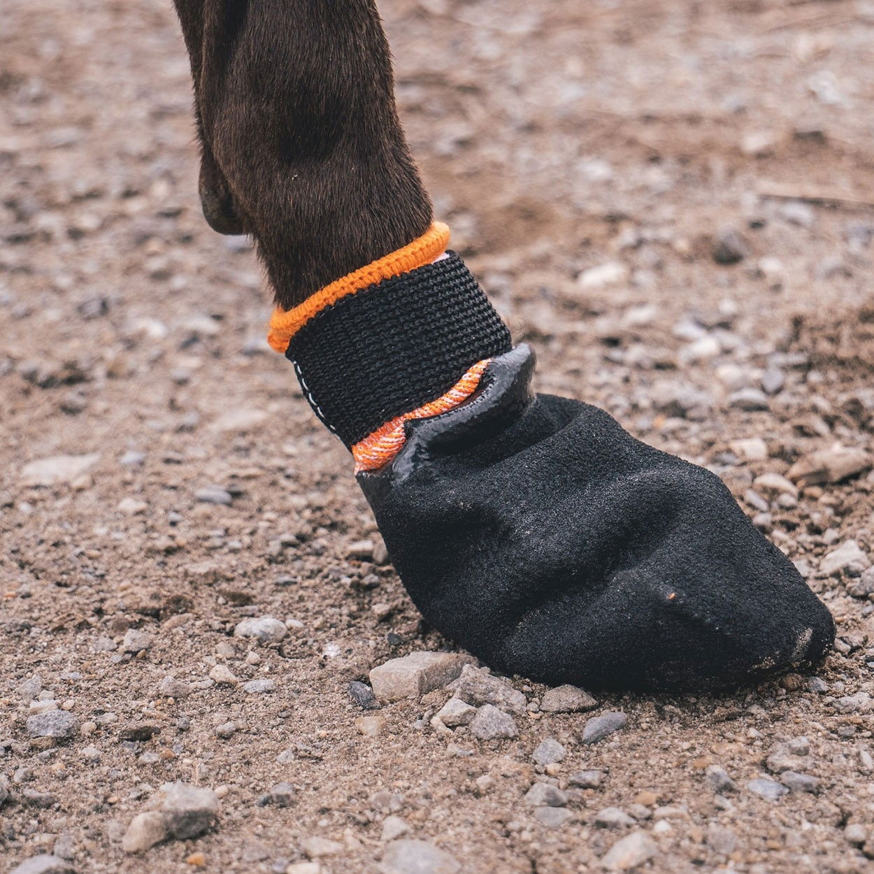 non-Stop Protector bootie black/orange