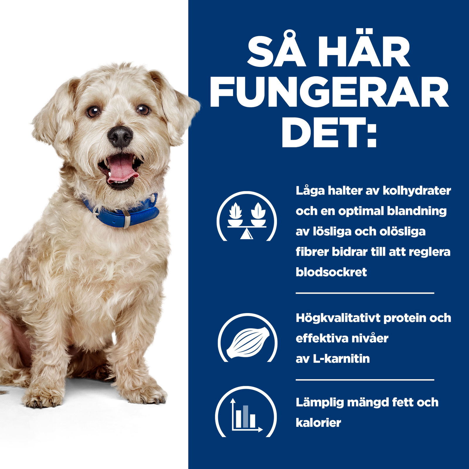 Hills Diet Dog w/d 4kg