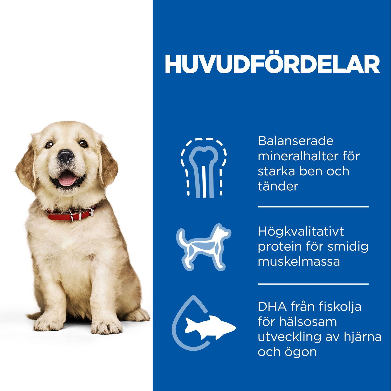 Hill's Science Plan Dog Puppy Large Breed