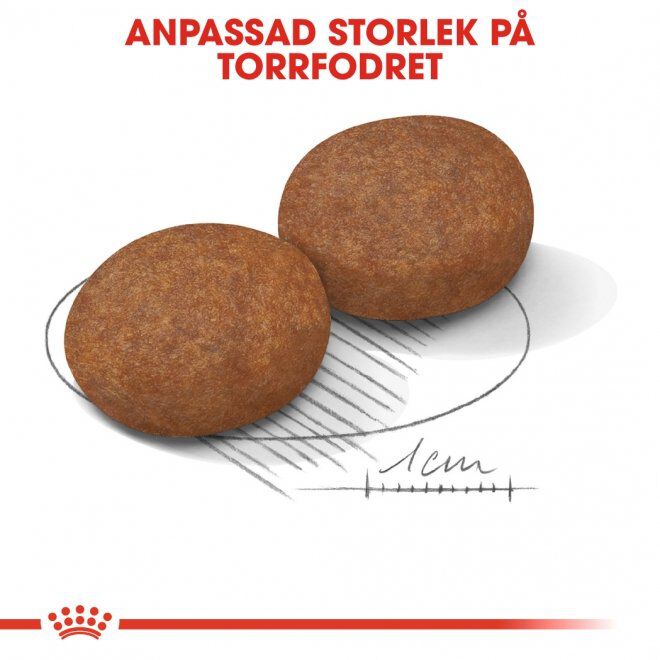 Royal Canin Medium Adult 7+ torrfoder för hund