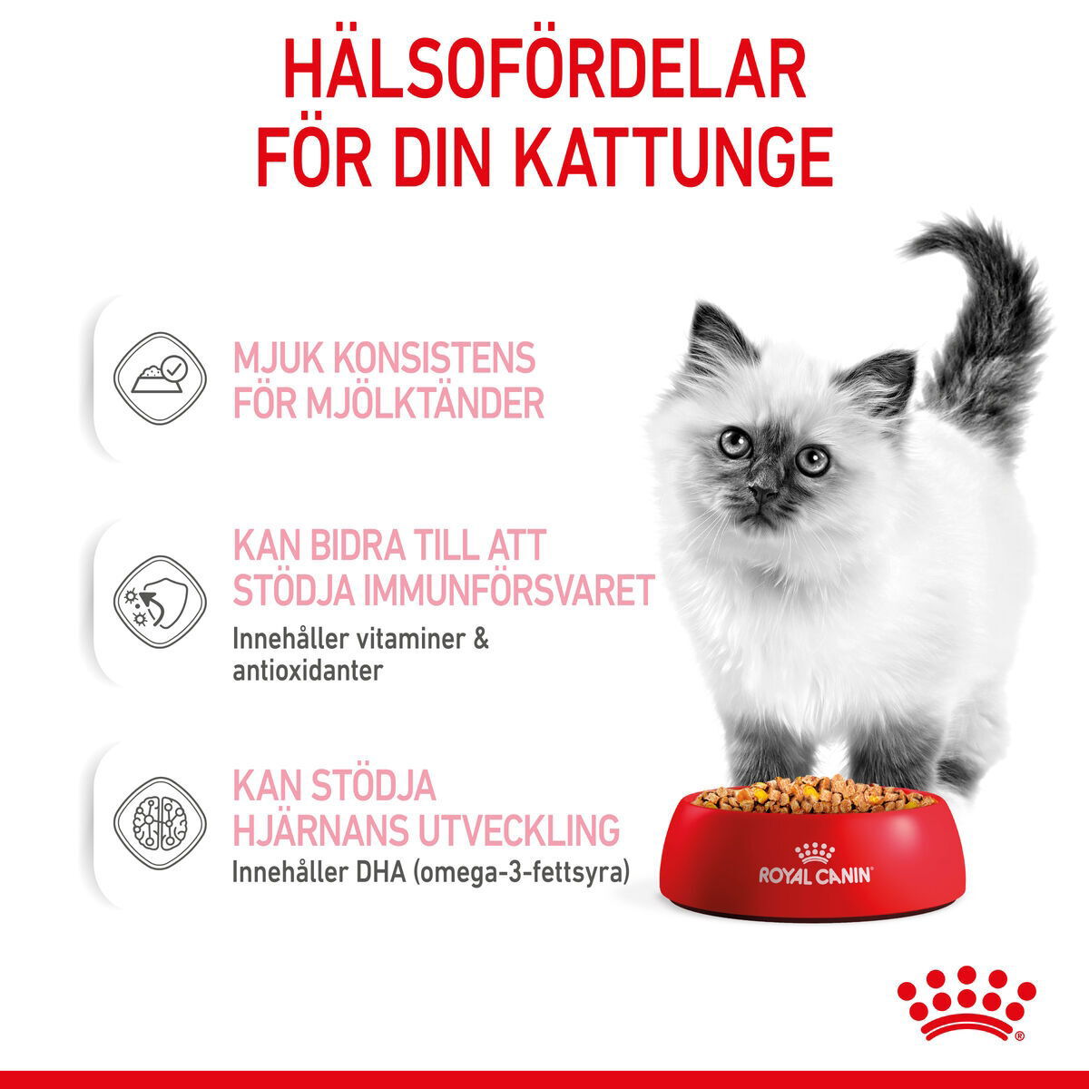 Royal Canin Kitten Jelly våtfoder för kattunge