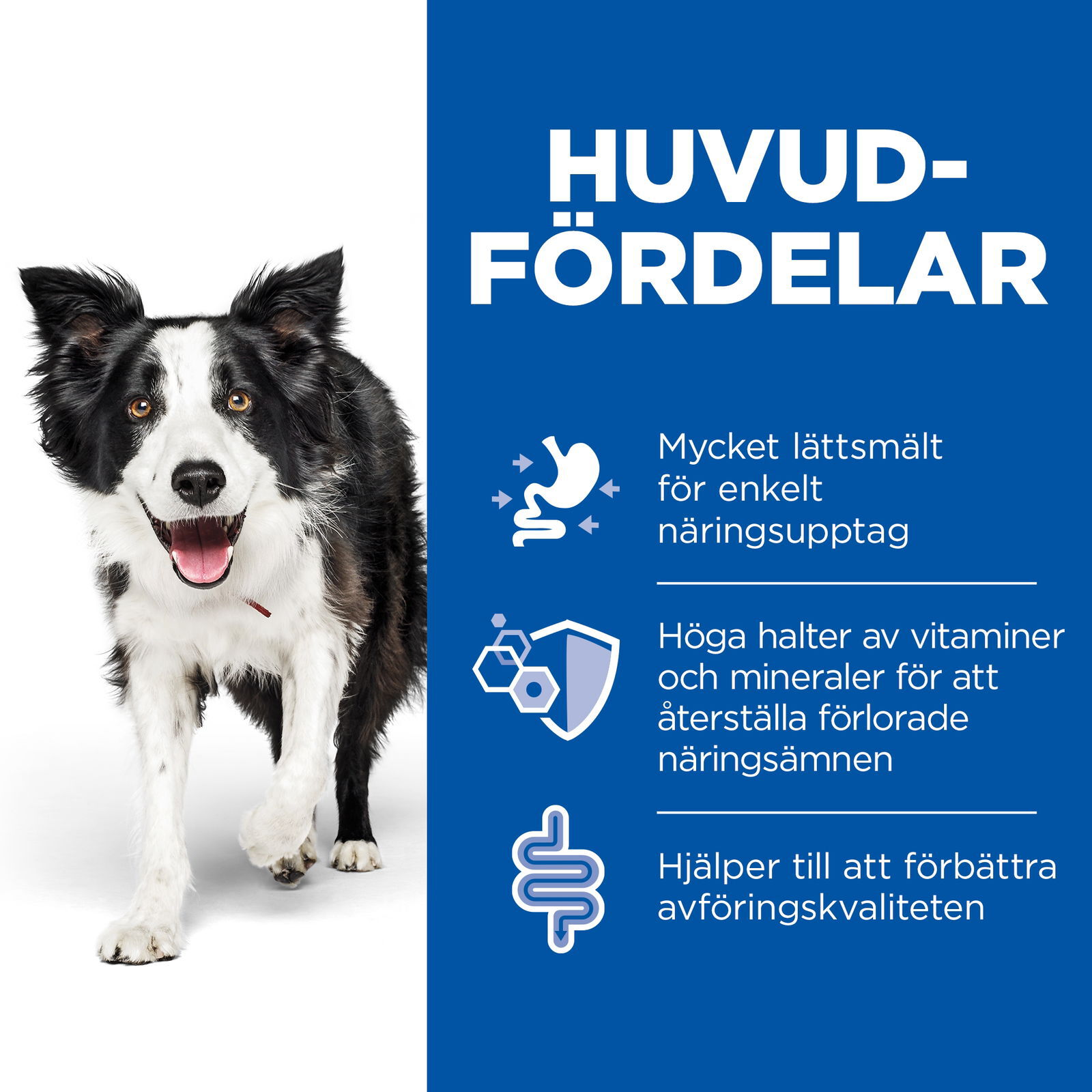 Hill's PRESCRIPTION DIET i/d Stew för hundar Kyckling&grönsaker