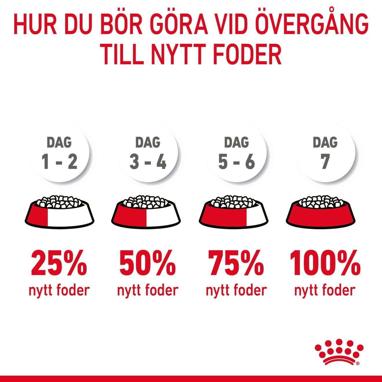Royal Canin Dental Care Adult torrfoder för katt