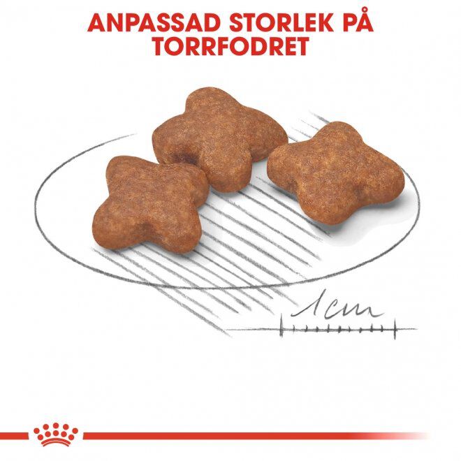 Royal Canin Mini Adult 8+ torrfoder för hund