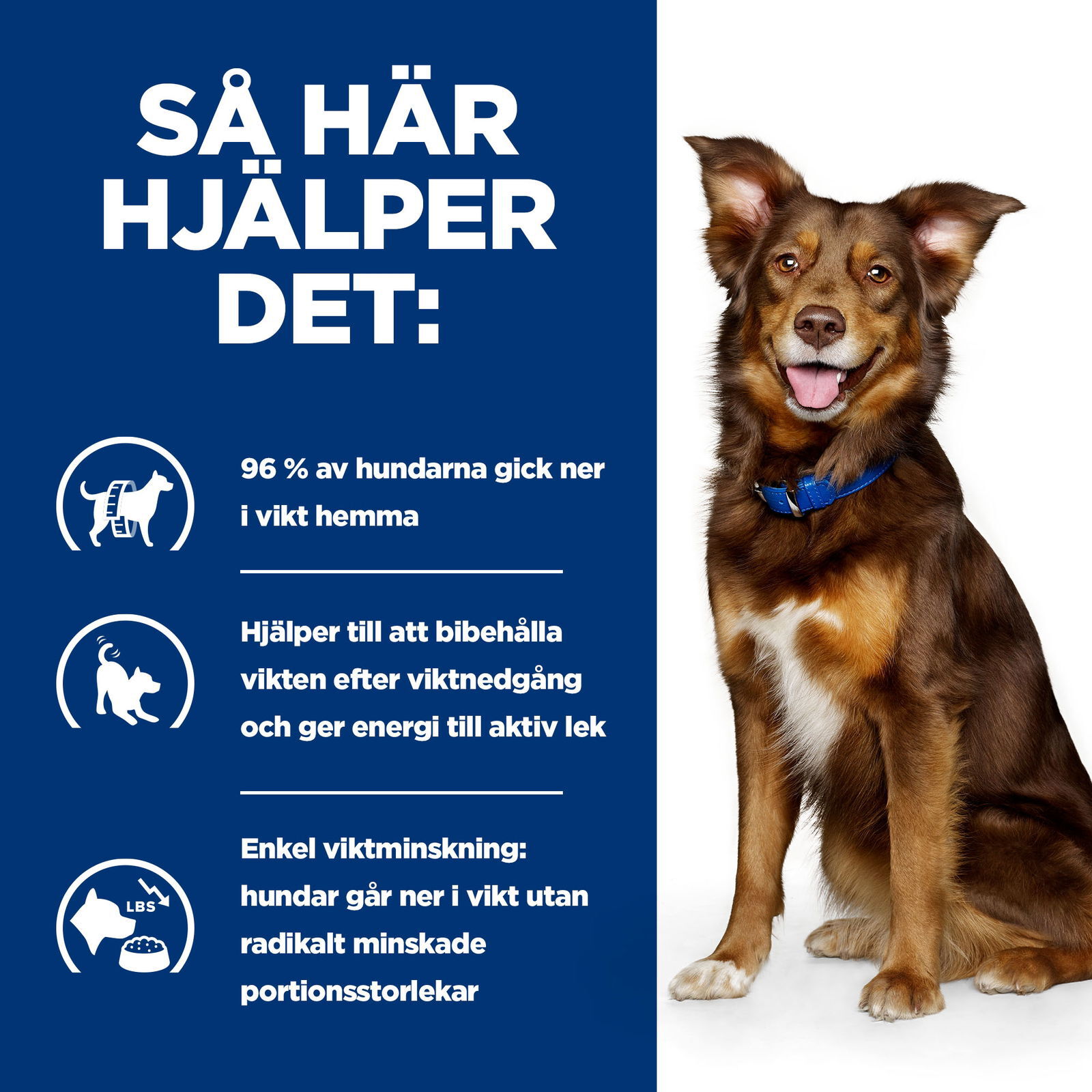 Hills Diet Dog Metabolic 1,5kg