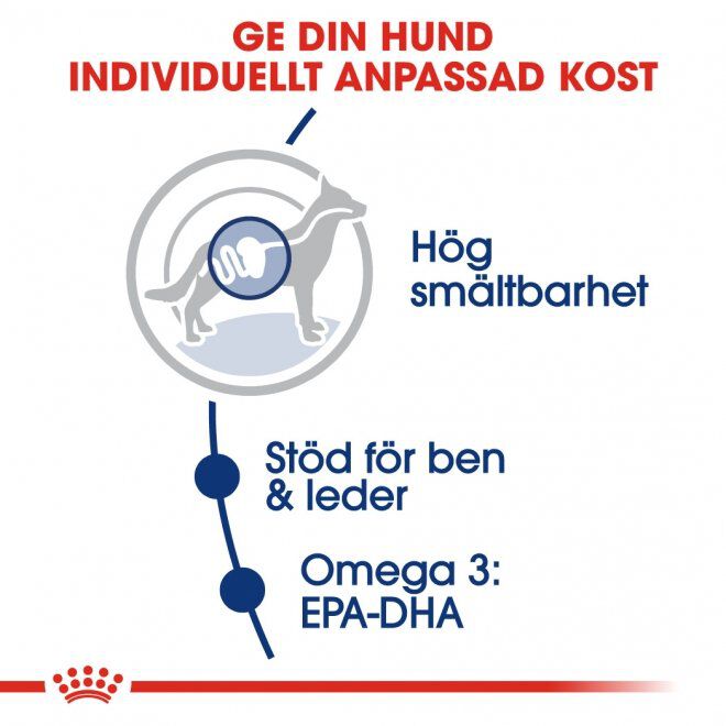 Royal Canin Maxi Adult torrfoder för hund