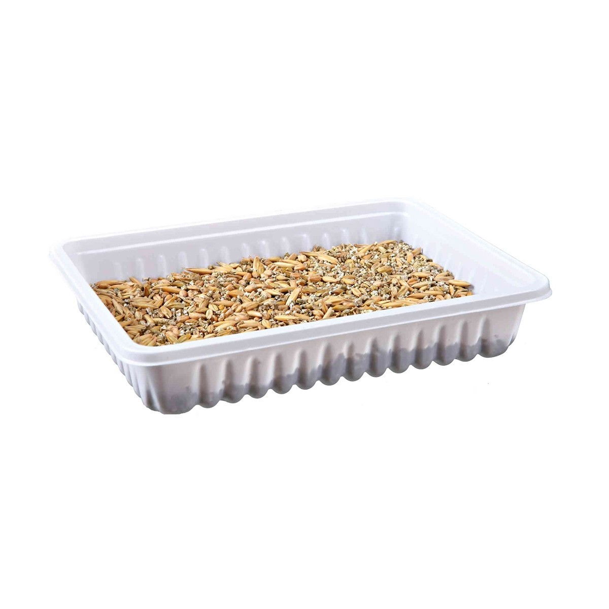 Trixie Kattgräs Låda 100g