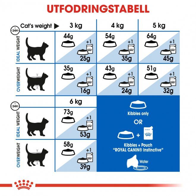 Royal Canin Indoor Long Hair Adult torrfoder för katt