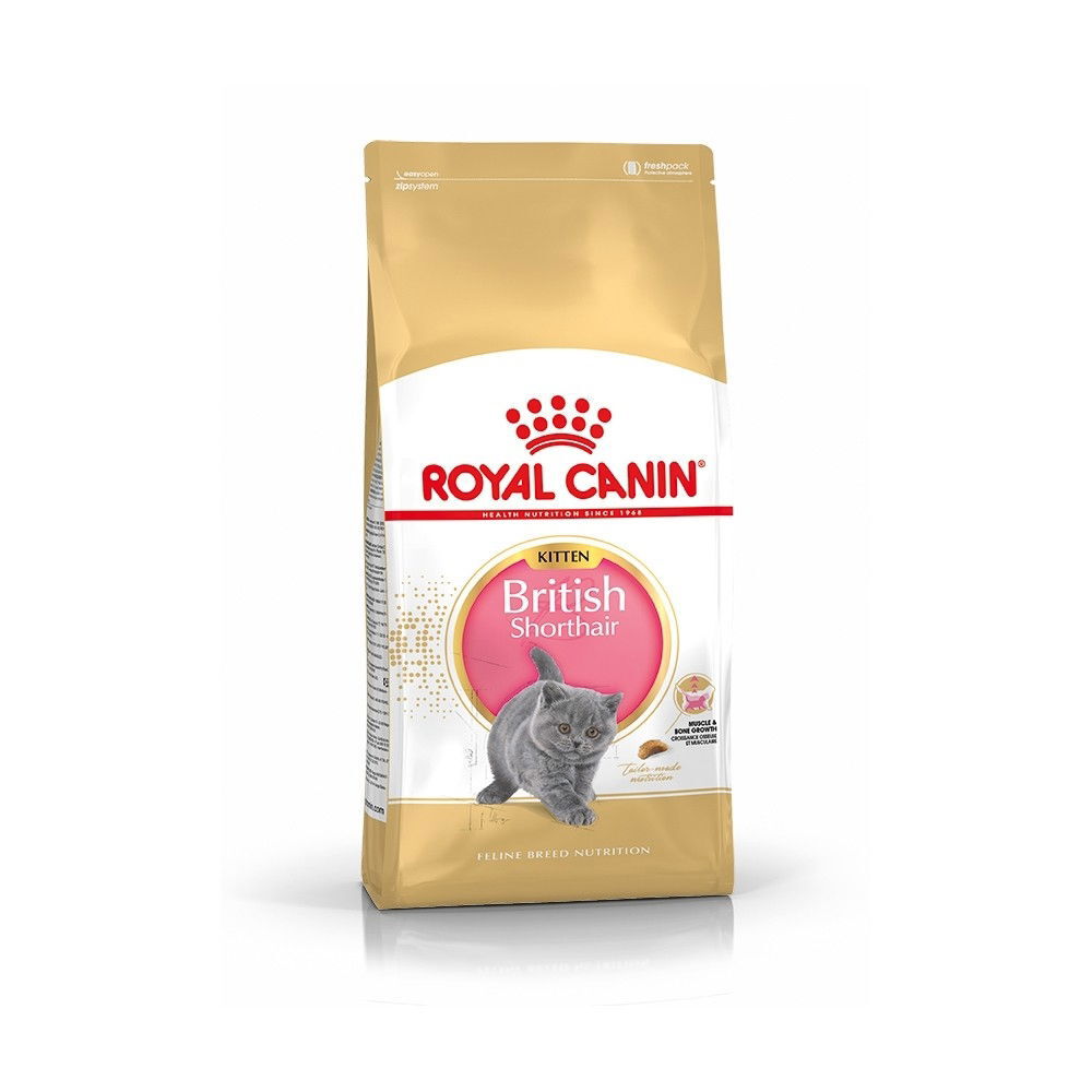 Royal Canin British Shorthair Kitten torrfoder för kattunge