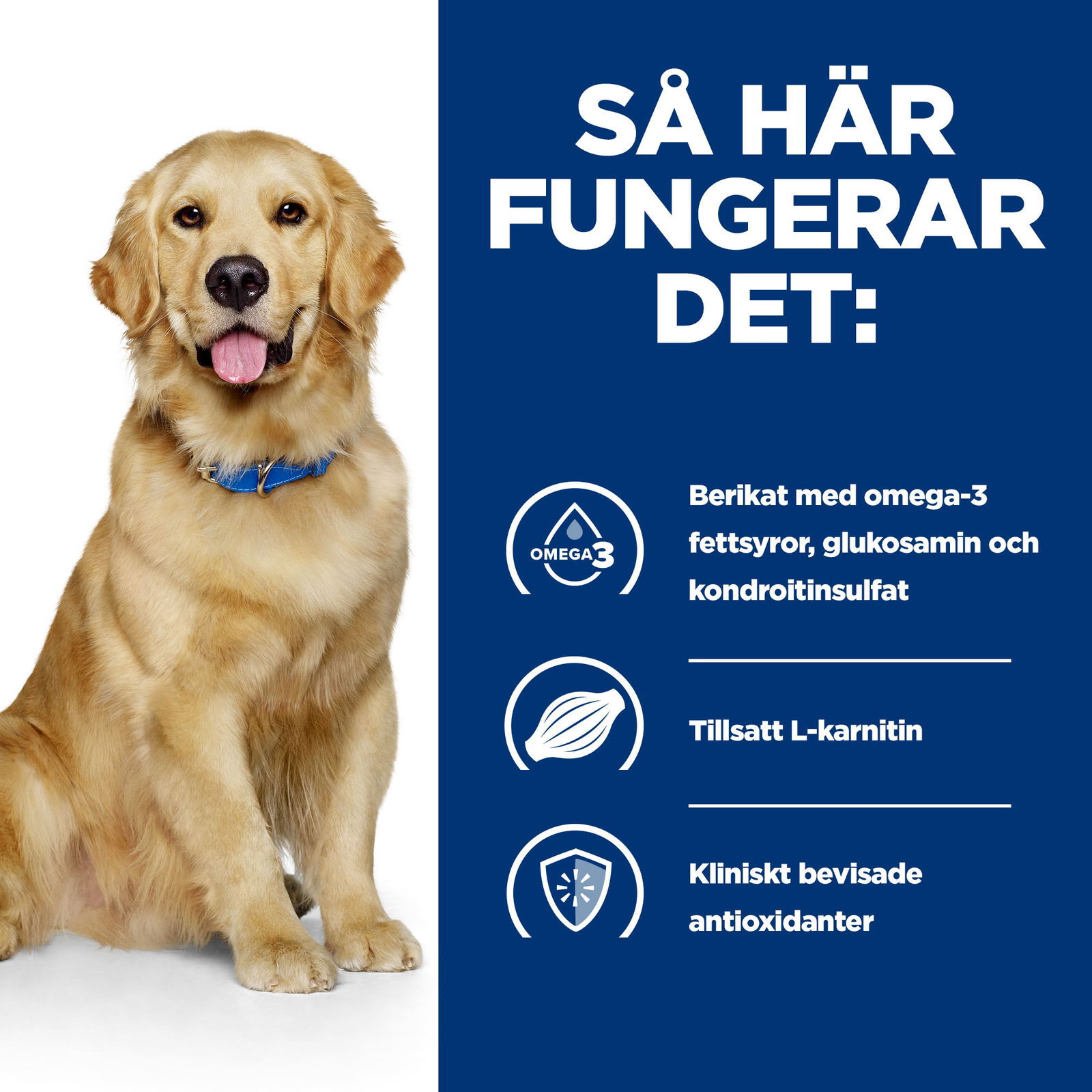 Hills Diet Dog j/d