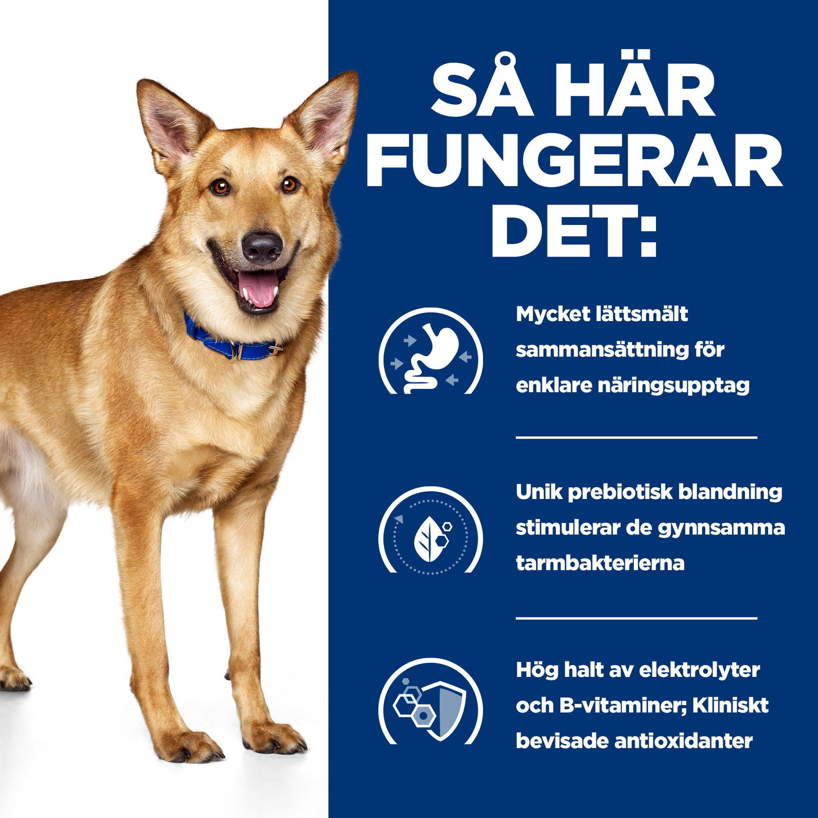 Hill's Diet Dog i/d Chicken