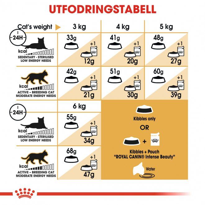 Royal Canin Siamese Adult torrfoder för katt