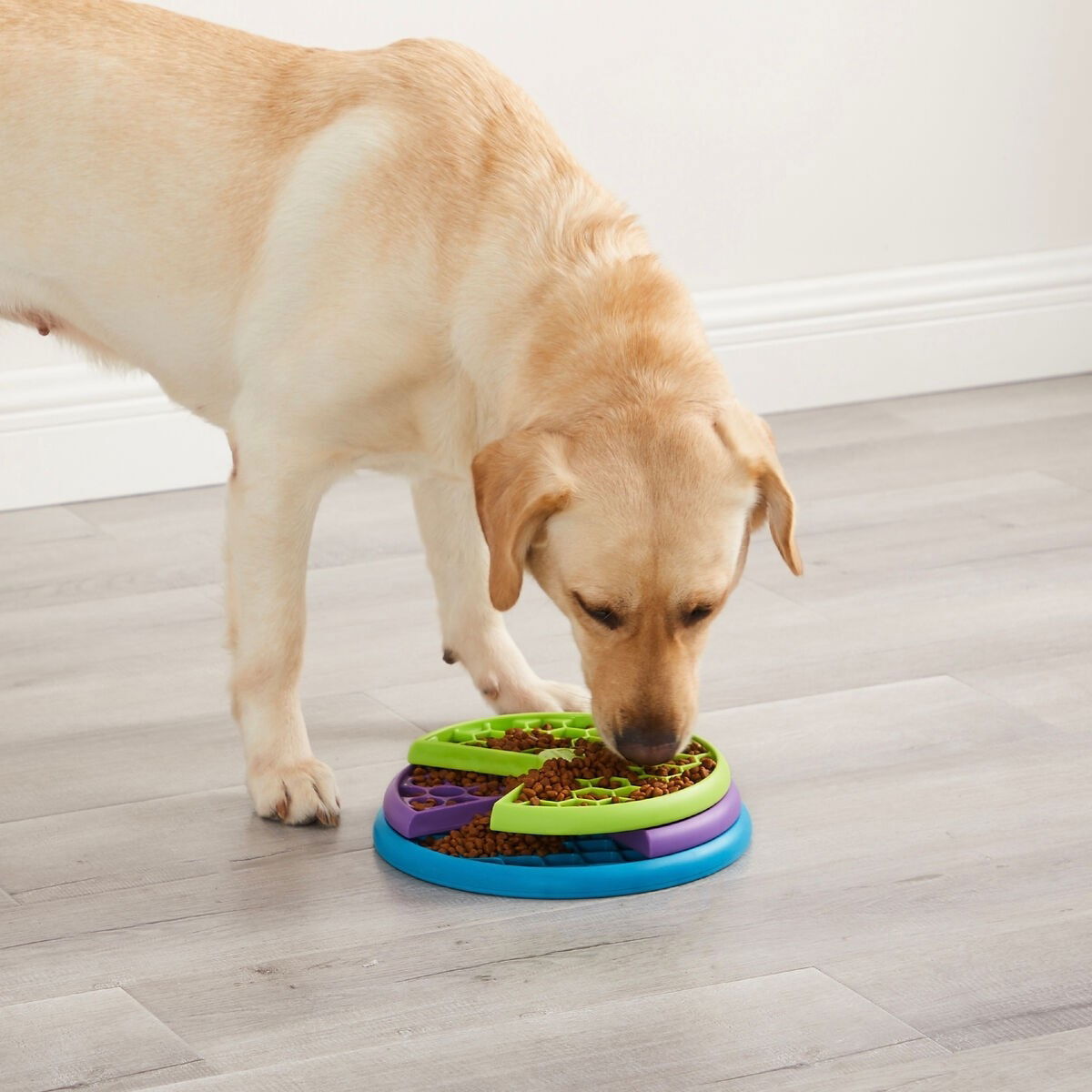 Nina Ottosson Lickin' Layers Food Puzzle